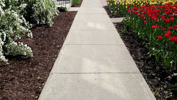 Cost of Sidewalk Slab Replacement in Huntersville