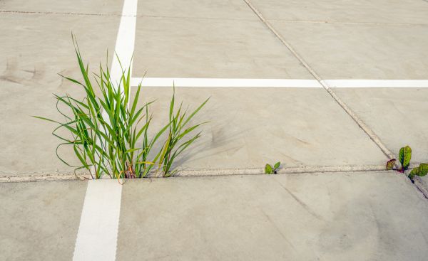 Concrete Parking Installation in Huntersville